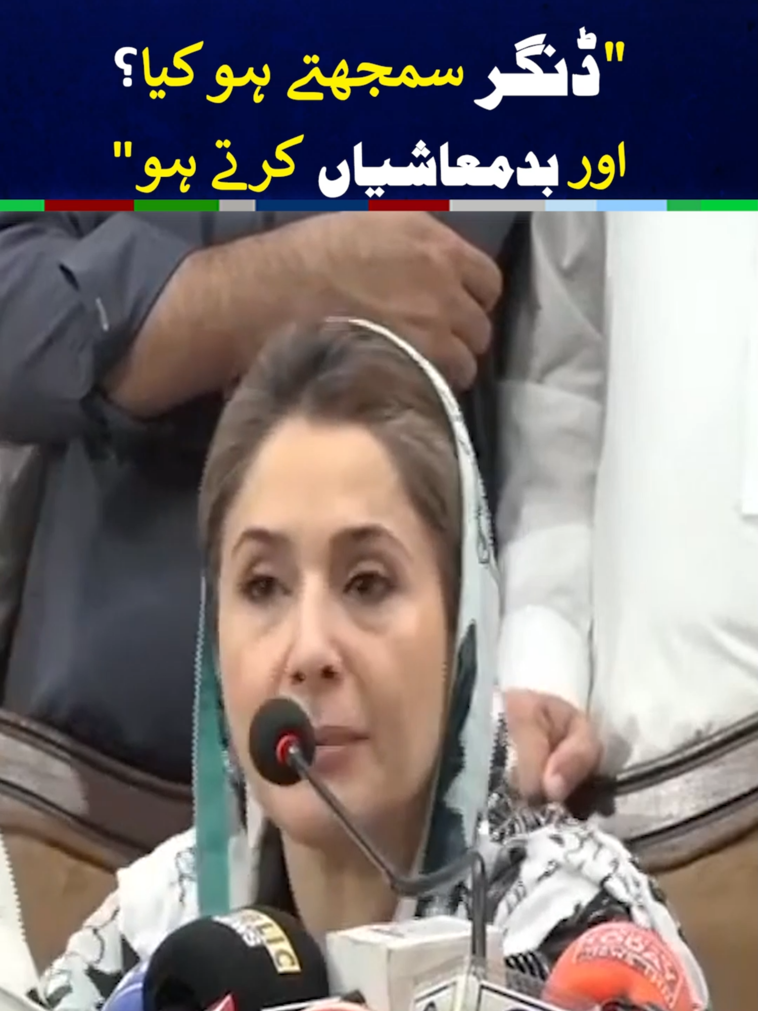 Shandana Gulzar Dabang Statement - #foryou #foryoupage #fyppppppppppppppppppppppp #BreakingNews #PMLN #PTI #NeoNews
