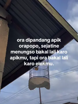 yo sing sabar🗿#dypdongggggggg #zyxbca #jowopride #brandatiktok #fyppppppppppppppppppppppp 