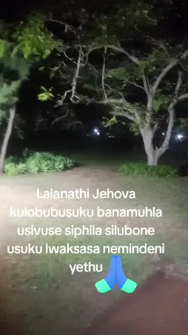 #tiktokseachinsight 