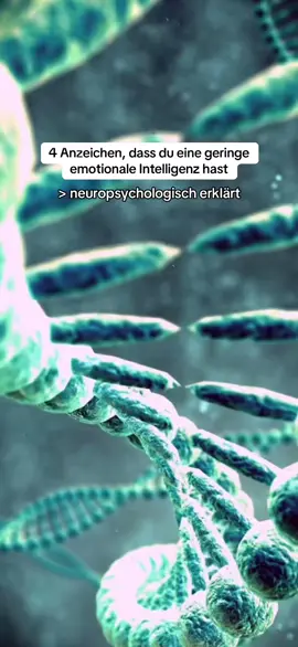 Was viele nicht wissen: Der präfrontale Cortex ist einer der letzten Hirnbereiche, die sich vollständig entwickeln. Und er ist extrem formbar. Menschen mit geringer emotionaler Intelligenz zeigen oft eine Dominanz des limbischen Systems: impulsive Reaktionen, geringe Frustrationstoleranz, Schwarz-Weiß-Denken.  Je klarer du deine inneren Prozesse verstehst, desto leiser wird das Bedürfnis, im Außen zu dominieren.  Mehr davon findest du in meinem Workbook - Link in der Bio. #flexwithmind #eq #fürdich #psychologie #fyp 