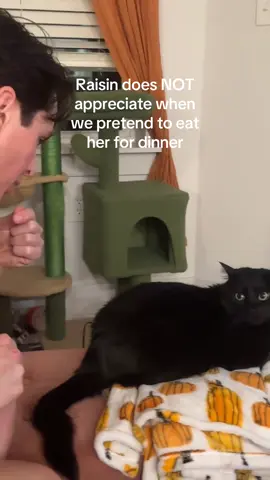 But the rump roast is so tasty!! #blackcat #catsoftiktok #dinner #fyp #blackcatenergy 