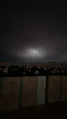 #اجواء_الشتاء_والمطر🌧 