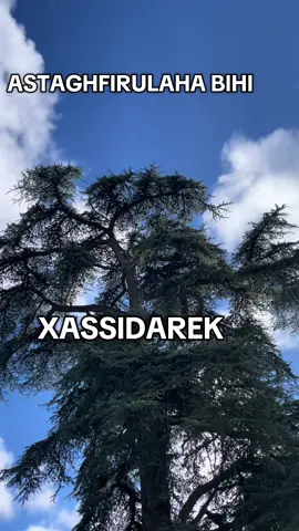 ASTAGHFIRULAHA bihi #xassidarek #magaltouba #kuteedki 