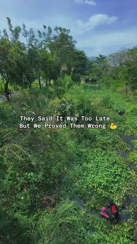 #clean #cleanriver #river #garbage #fyp #foryou 
