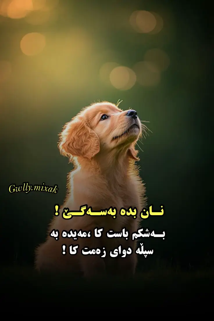 ٣ بەشە پۆستەکە ئاگادار بن لایک و کۆمێنت لەبیرمەکەن 