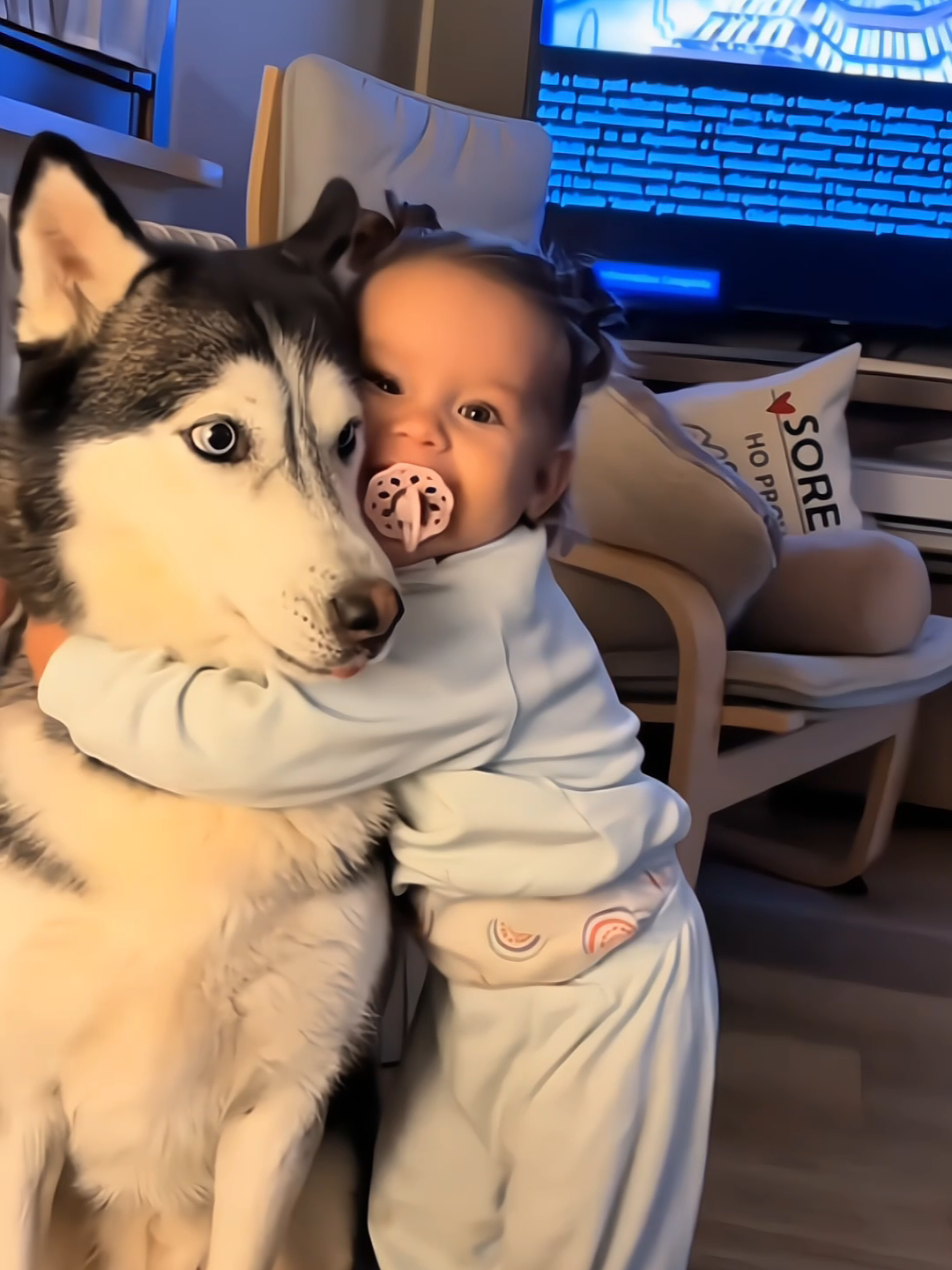 The sweetest Friendship🥰🥰  #Love #turelove #cute #pet #cat #dog #foryou #fyp 