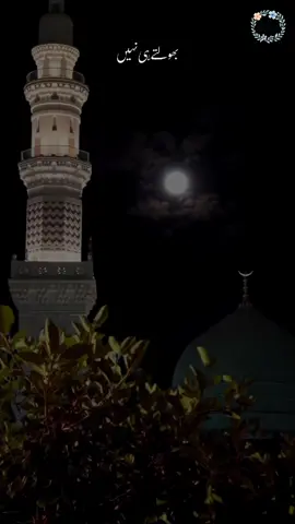 تیرےﷺ دیار کے . . . #taiba #zariiasthetics #naatsharif #explore #explore #explore #teredyaarke 