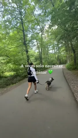 A veces solo necesitas caminar, despejar tu mente y disfrutar de  la naturaleza #caminar#Hiking#boston#