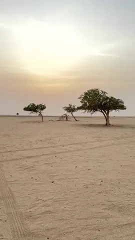 #foryou #اكسبلوررر #اكسبلور #tiktok #explore 