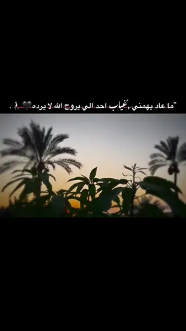 #اخر_اشي_نسختو💭🥀 #جبراتت📮١6 #ذووووووووق🎻🎶 @♯̶﮼حمودي⤻ 🇸🇦ᥫ᭡ #مالي_خلق_احط_هاشتاقات🧢 #تصويري_احترافي_الاجواء👌🏻🕊😴 #fypシ  @♯̶﮼عيادي⤻ 🇸🇦ᥫ᭡  