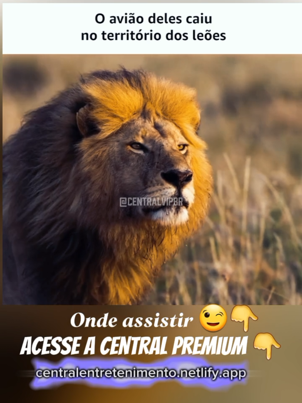 🦁 Um acidente de avião, uma selva cheia de predadores e NENHUMA saída fácil… Você sobreviveria nesse cenário extremo? 😱 Assista agora e prepare-se pra tensão total! 💬 Comente: Você teria coragem de sair do avião ou esperaria socorro? ⚠️ Spoiler: os leões não esperam... #FilmeDeSobrevivencia #AfricaSelvagem #AcidenteAereo #LeõesNaSelva   #CenaForte #OQueVocêFaria #FilmesQuePrendem #Curiosidades #CentralPremium   #Instafilme #AventuraExtrema #SuspenseNoAr #CurtaSeTePrendeu #TikTokBrasil 