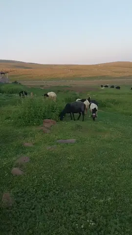 Ömür çok kıymetlidir, ziyan etmeyin...
