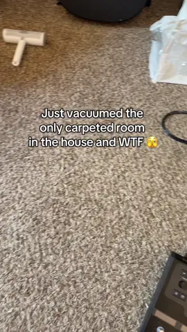just when you think your Dyson is doing the job too 🙄😬  #ttshop  #TikTokshop #petparents #doghairremoval 
