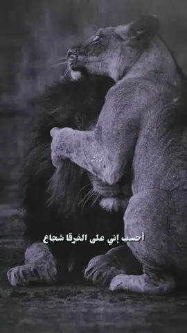 #يا هلا بك #تصميمي #إكسبلوررررررر_explore 