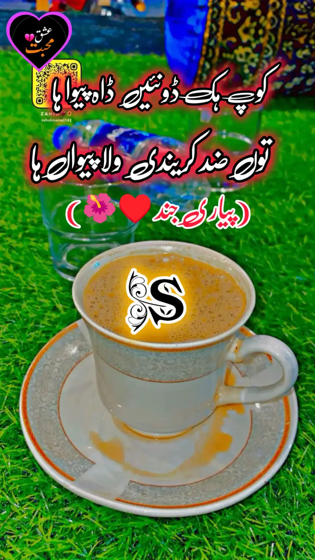 #سرائیکی_سٹیٹس،ویڈیو #سرائیکی_جنون #foryou #سنگت_ویڈیو_وائرل_کریسو_آپ_ہیں🥀♥️🌺🥀💓 