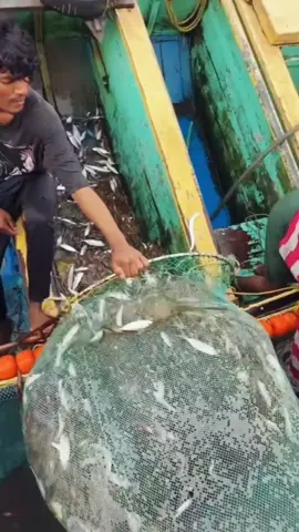Trawlnet Fishing Squad is ready to Hunt #fishing #ocean #fish #viralvideos #fyp 
