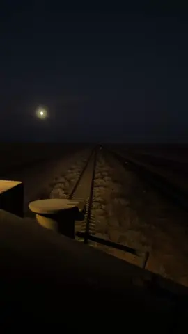 And All the Lights ✨🚂 #sar #saudiarabia #سار #railway #قطار_سار #work #قطار