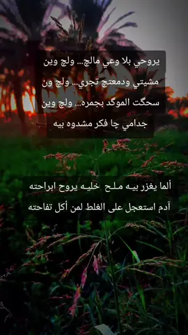 #ذئب_الليل #حزن💔 