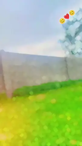 ##farho #plizsaport🌷🌷 #viralvideo #tiktokviral #unfreezemyacount #plizzz_viral_vid🙏🙏🙏 