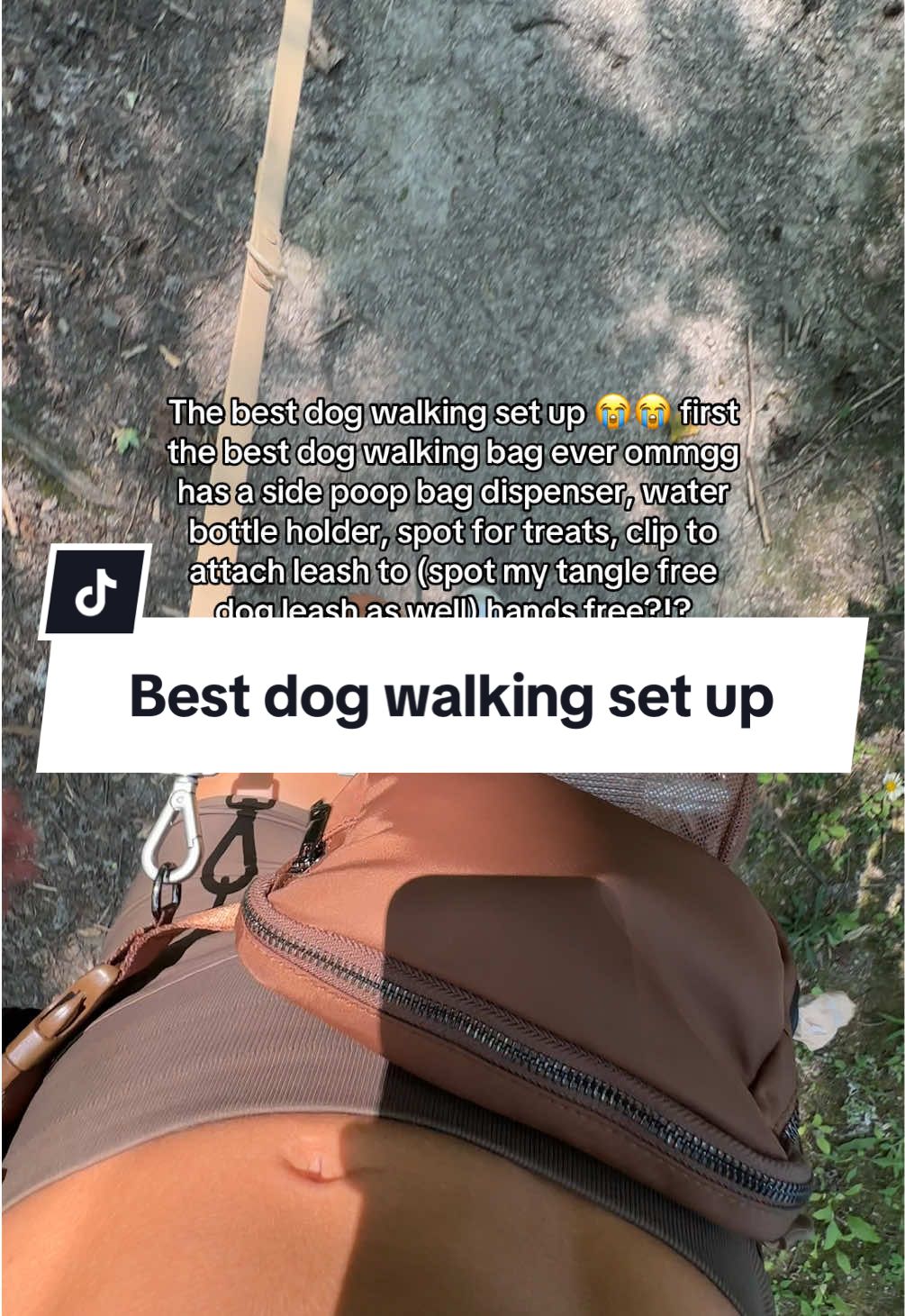 Crying because this is the best dog walking set up ever 