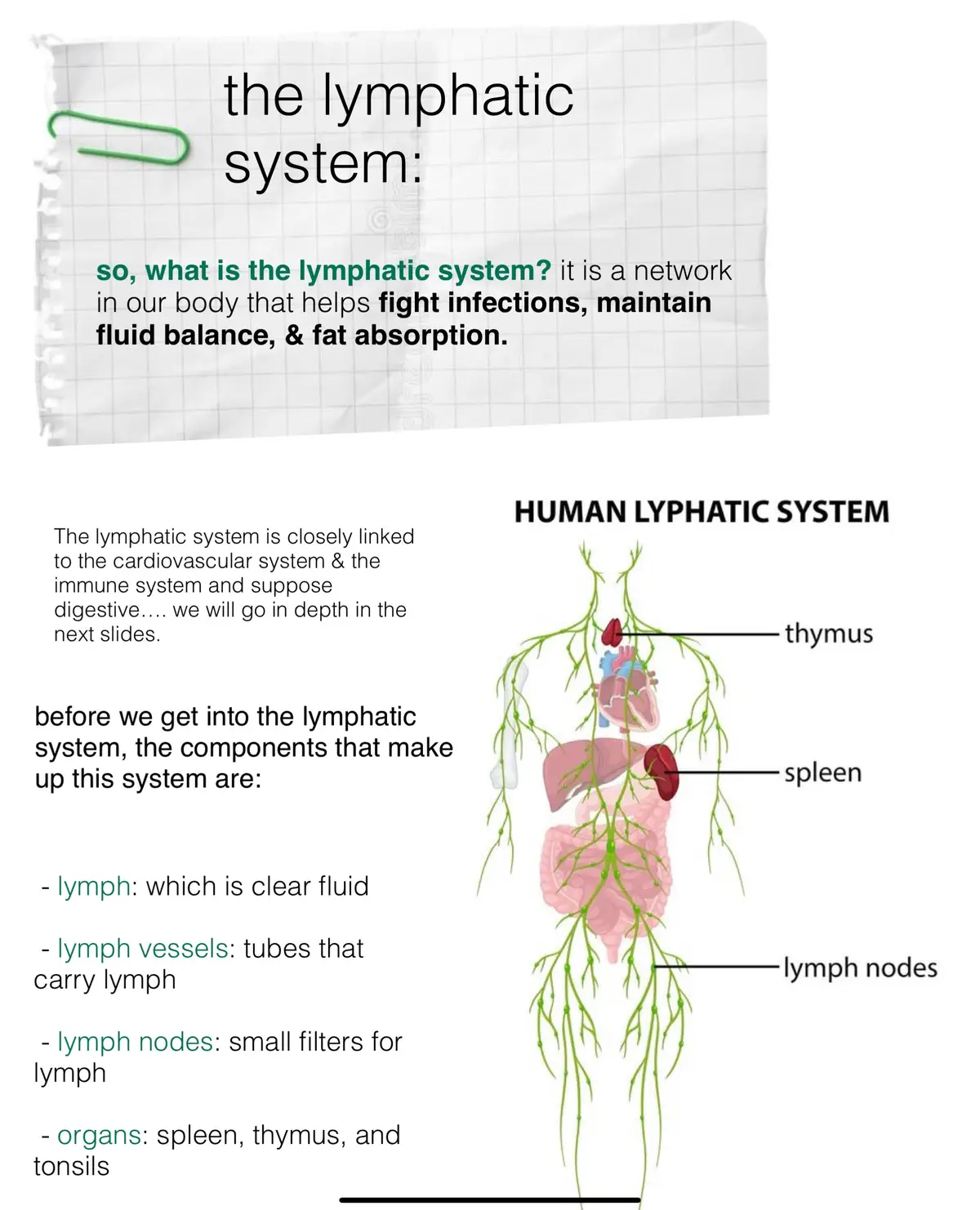 anyone taking a summer anatomy & physiology class ??? how is it going? 💗🙏🏻 I hope this helps someone !!!!! #fyp #you 
