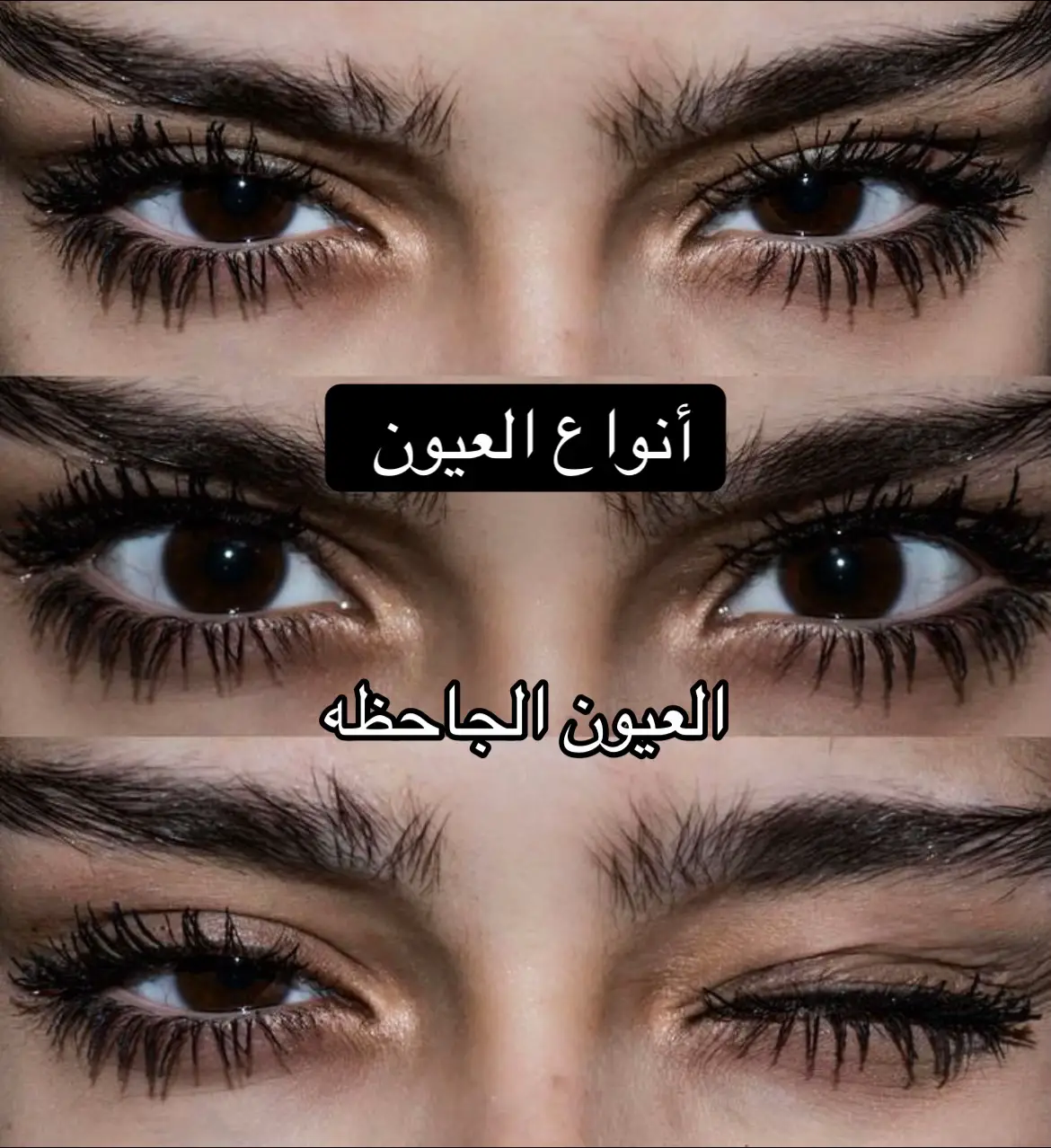 #عيون #جمال #عنايه #حب #اكسبلورexplore #اكسبلورexplore #foryou #foryoupage #الشعب_الصيني_ماله_حل😂😂 