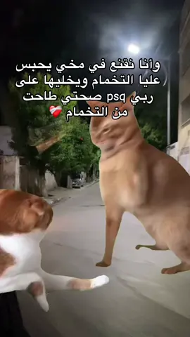 #شعب_الصيني_ماله_حل😂😂 #fyppppppppppppppppppppppp #🇩🇿🇲🇦🇹🇳 