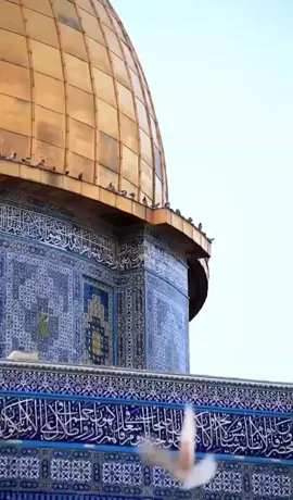 #المسجد_الاقصى #اكسبلور 