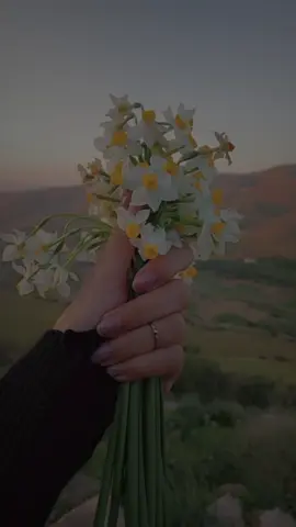 #يارب #CapCut 