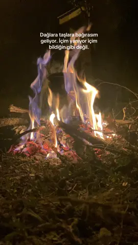 #keşfet 