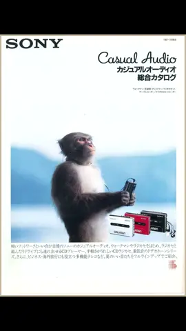 In this original and memorable Japanese advertising campaign from the 1980s, Sony featured a Japanese macaque (snow monkey) as the central figure to promote its line of portable audio products under the concept of 