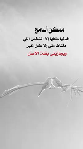ويجازيني بقلة الأصل #اعادة_النشر🔃 #اكسبلورexplore #إيفان_الجيزانيه #ممكن_اسامح_الدنيا_كلها_الا_الشخص #قلة_الاصل 
