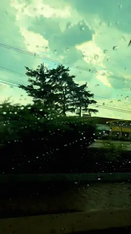 Siayaara ♥️ #onthisday #foryou #foryourpage #newyork #rain 