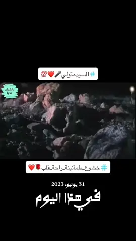 #في هذا اليوم 