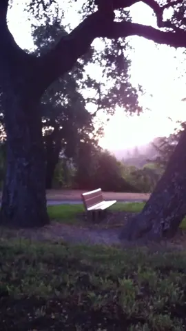 where we used to sit                                                       