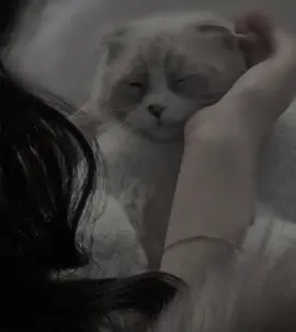 من بۆچی باسی خۆم کەم؟؟