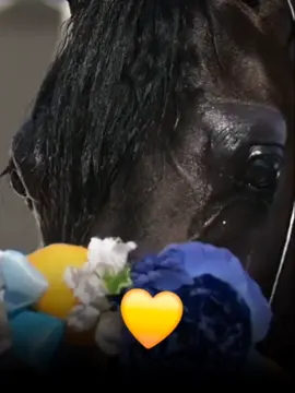 #💛 