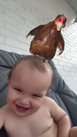Just a baby… living his best chicken life 🐔😂 #baby #babyfilter #chickenfilter #fyp #foryou #funnybabies #funnybabyvideos #trendingvideo #trendingfilter #chickendance #unilad @UNILAD @Trending 