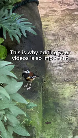 We 💚 editing #fyp