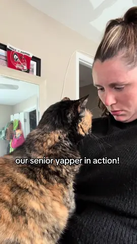 one thing ab my queen, she lovesssss to chat #cats #cutecat #catmom #indoorcats #tortiecat #tortitude #oldiesbutgoodies #cuteanimals #tortiesoftiktok #cat #catadoption #torties #meow #catlover #cutiecats #yappingcat #meowingcat #tortie #yap #yapping #catlovers #seniorcats #seniorpets 