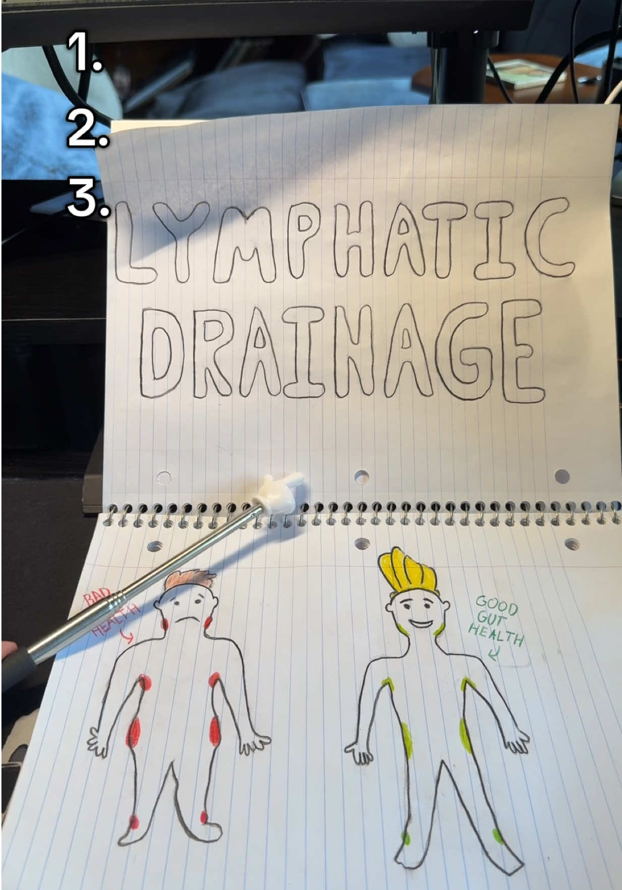 Rate my drawings 1-10 #lymphaticdrainage #prebiotics #probiotics #postbiotics 