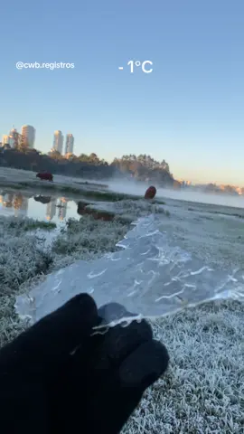 #curitiba #frio #inverno #parana #geada #barigui #frost #frostedflakes 