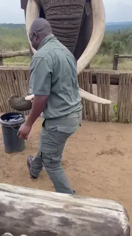 #humanity 