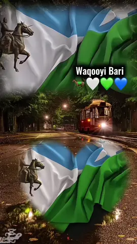 Dawladnimo✍🏻❤️Repost ka wa 50/50😭🔥#Waaqoyibari🐎🤍💙💚#fyppppp #ssckhaatumostate💙🐎🤍 #ogadenigirl🇬🇲🇸🇴🇸🇴💖 #ogadenia #wacaysadan_🐎🇬🇶 #jubalandtiktok🇸🇱 