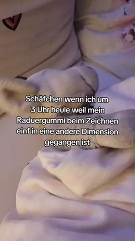 Schafilein kann nichtmal in Ruhe schlafen #schlafen #kuscheltier #meme #zeichnen #fyp 