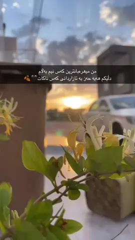 #ەولێر_سلێمانی_دەهۆک_ڕانیه_کەرکوک #کوردستان_سلێمانی_کەرکوک_هەولیر 