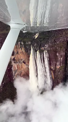 La vista más increíble que e tenido en toda mi vida, #canaima #saltoangel #venezuela #up #disney 