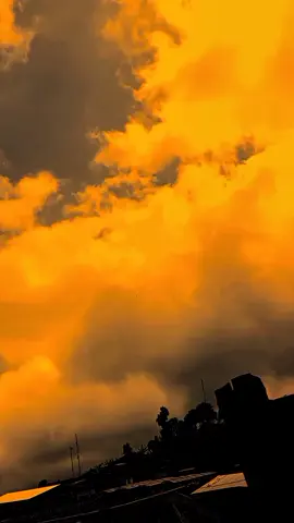من الشفق فماذا أفعل سوى أن أقع في الحب؟ 