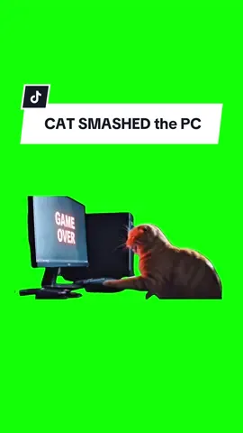 #CapCut CAT SMASHED THE PC #greenscreen #greenscreenvideo #greenscreenoverlays #fyp #fyppage #fypシ❤️💞❤️ #meme #memes #memestagram #freefirememe #memepage #viral #viralvideos #viralreels #viralvideo #viralpost  #cat #cats #catsofinstagram #catlover #catmemes #catmeme #trend #catsmashedthepc #ai 