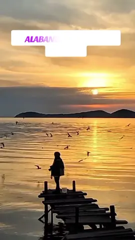 alabanzas cristianas bonita #contenidocristiano #alabanzas_cristianas #videoscristianos  ##creatorsearchinsights 